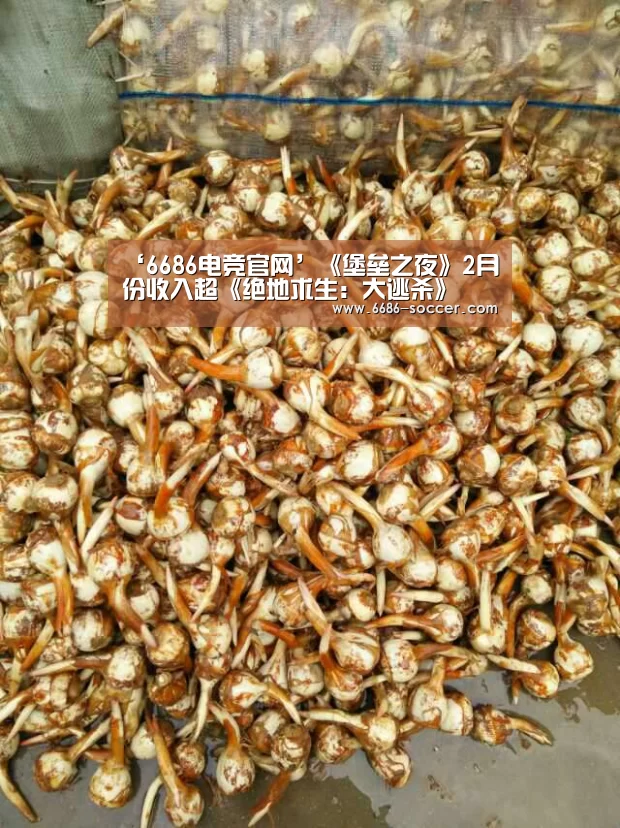 6686娱乐平台